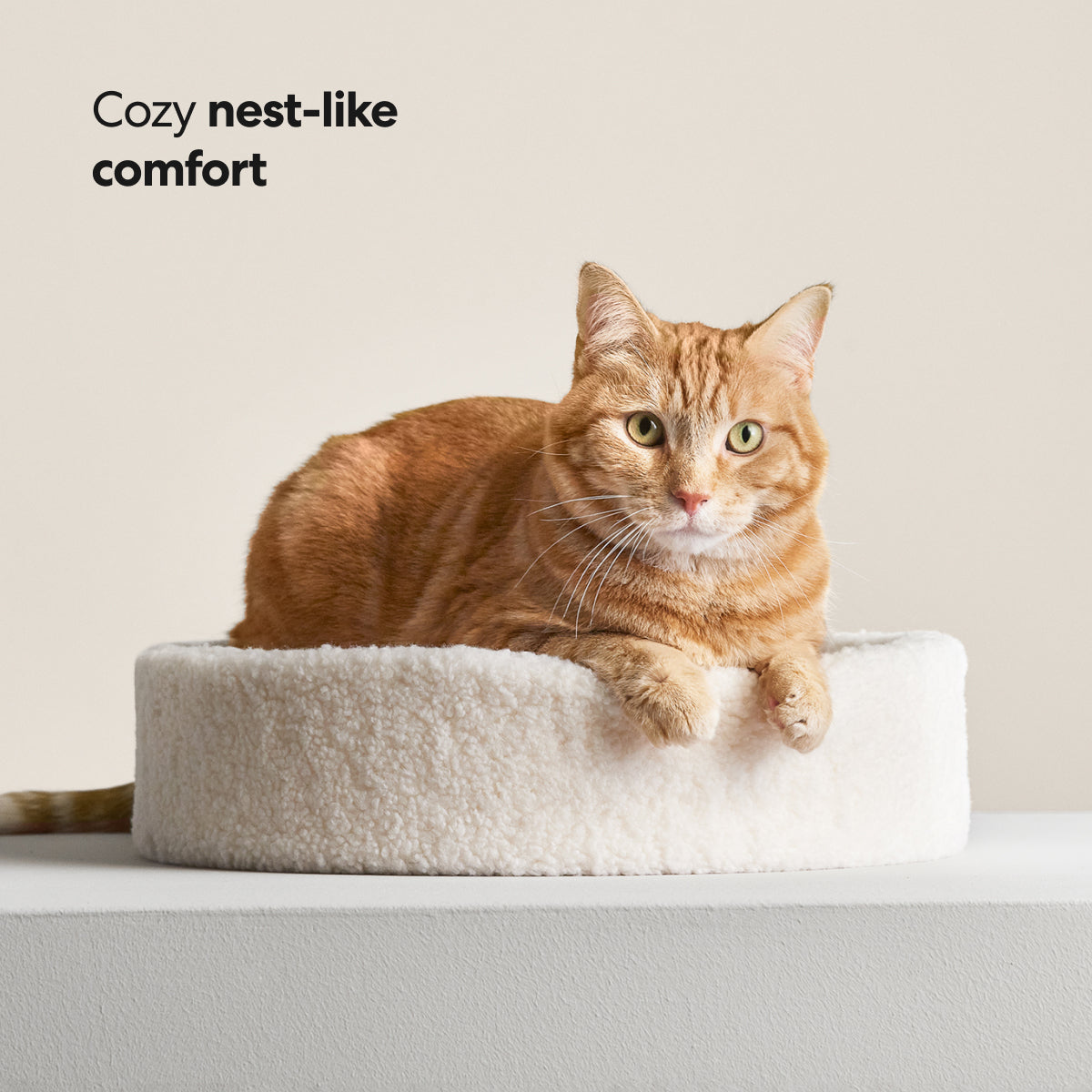 Kip Cat Bed image 5