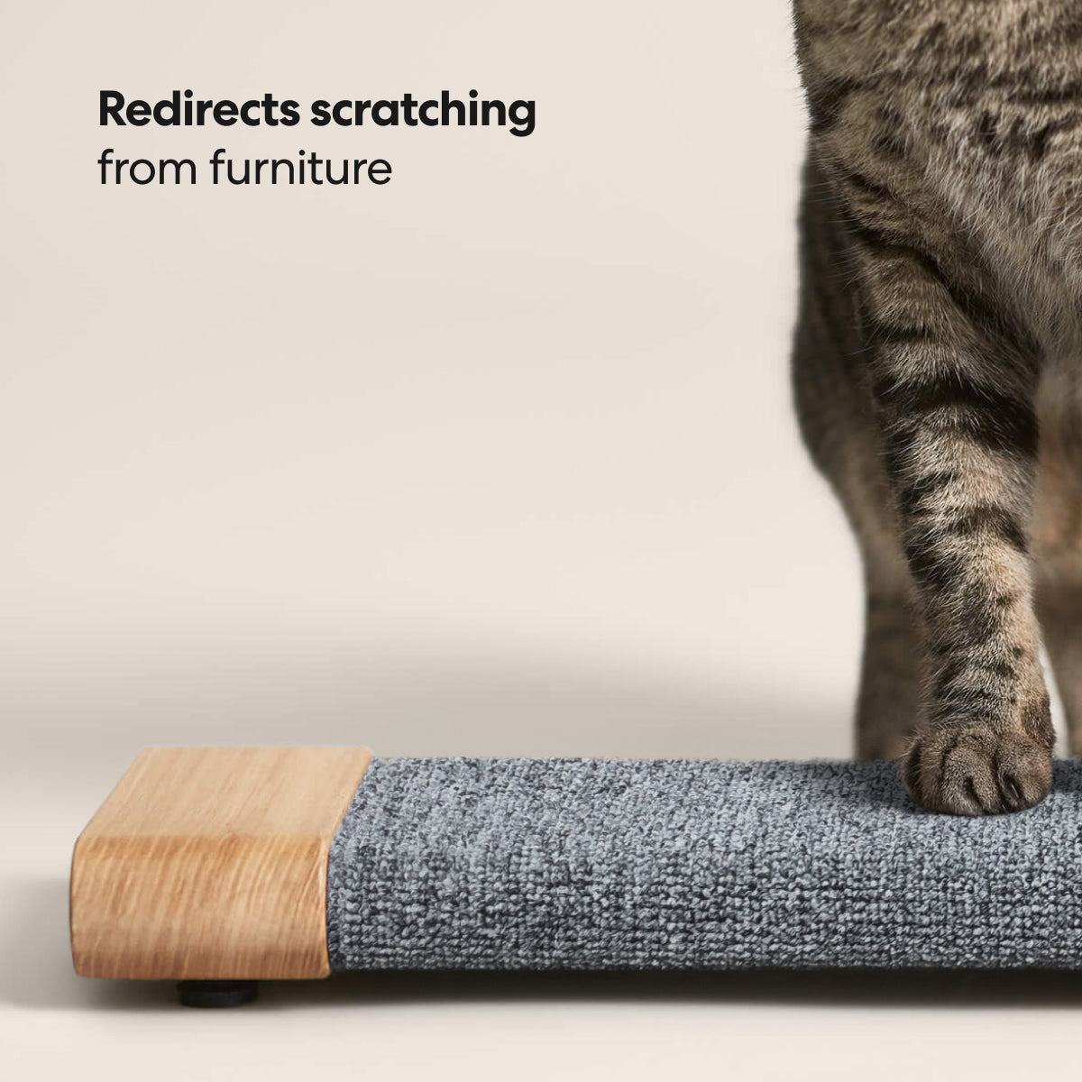 Tab Scratching Board image 5