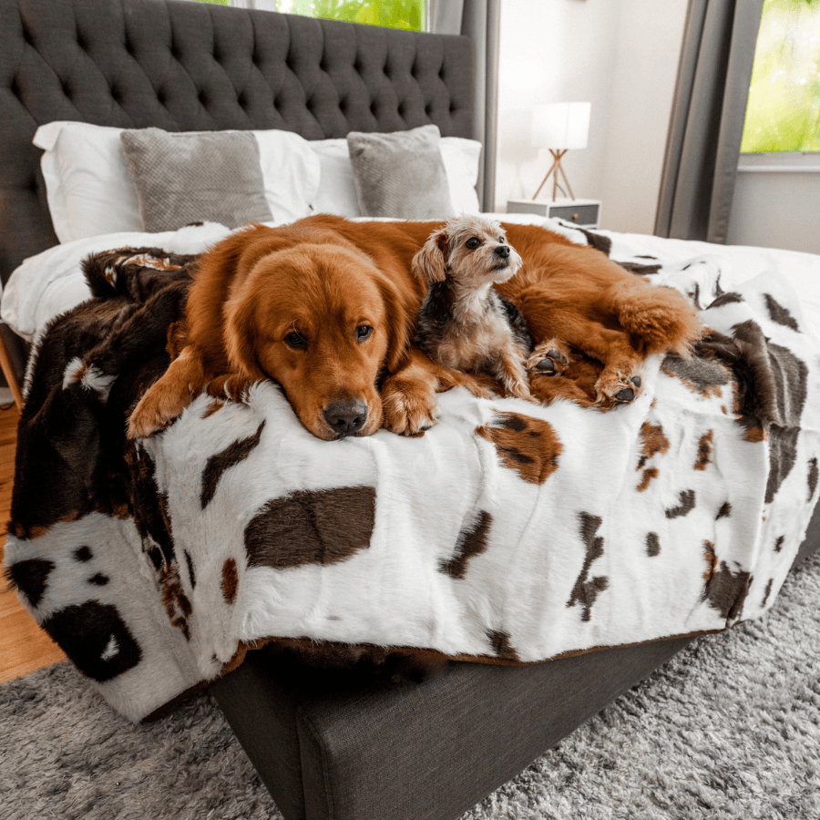 PupProtector™ Waterproof Throw Blanket - Brown Faux Cowhide image 2