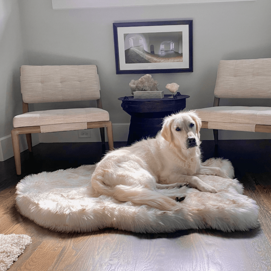 PupRug by Paw.com® Faux Fur Orthopedic Dog Bed - Curve White with Brown Accents product image