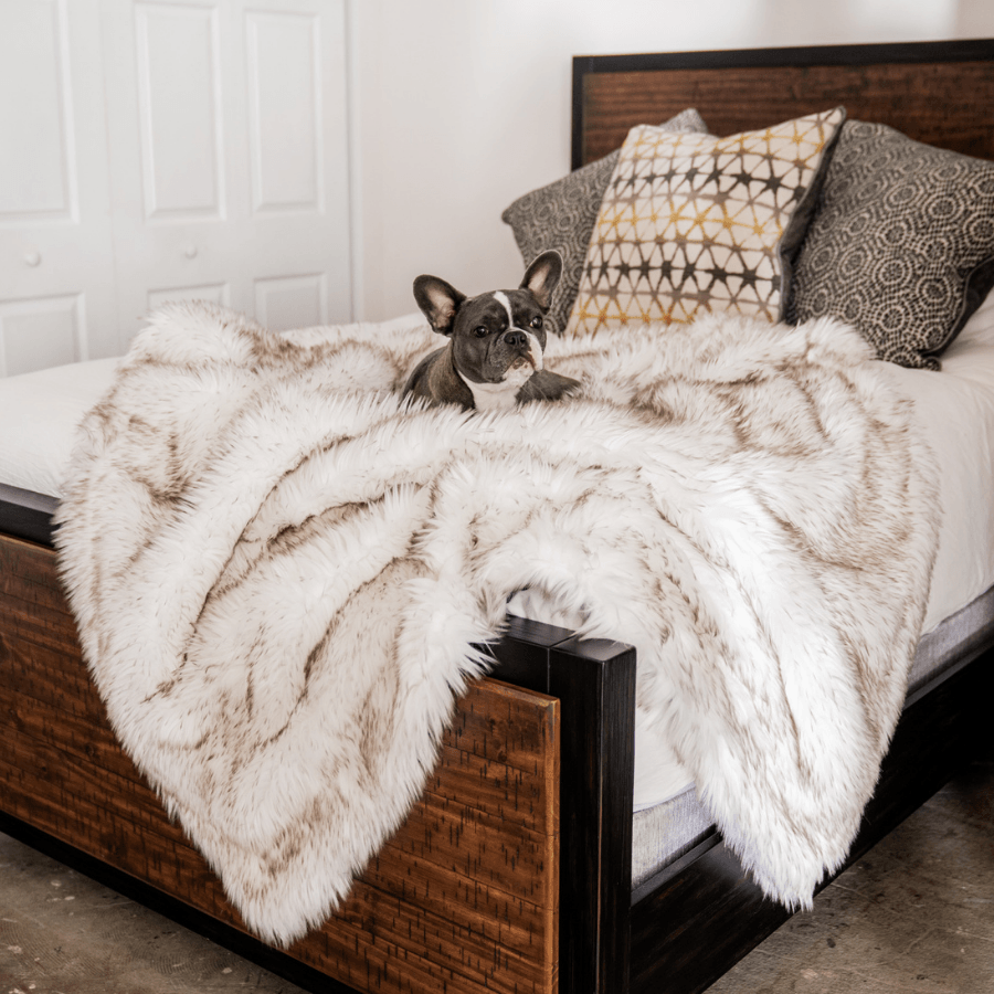 PupProtector™ Waterproof Throw Blanket - White with Brown Accents product image