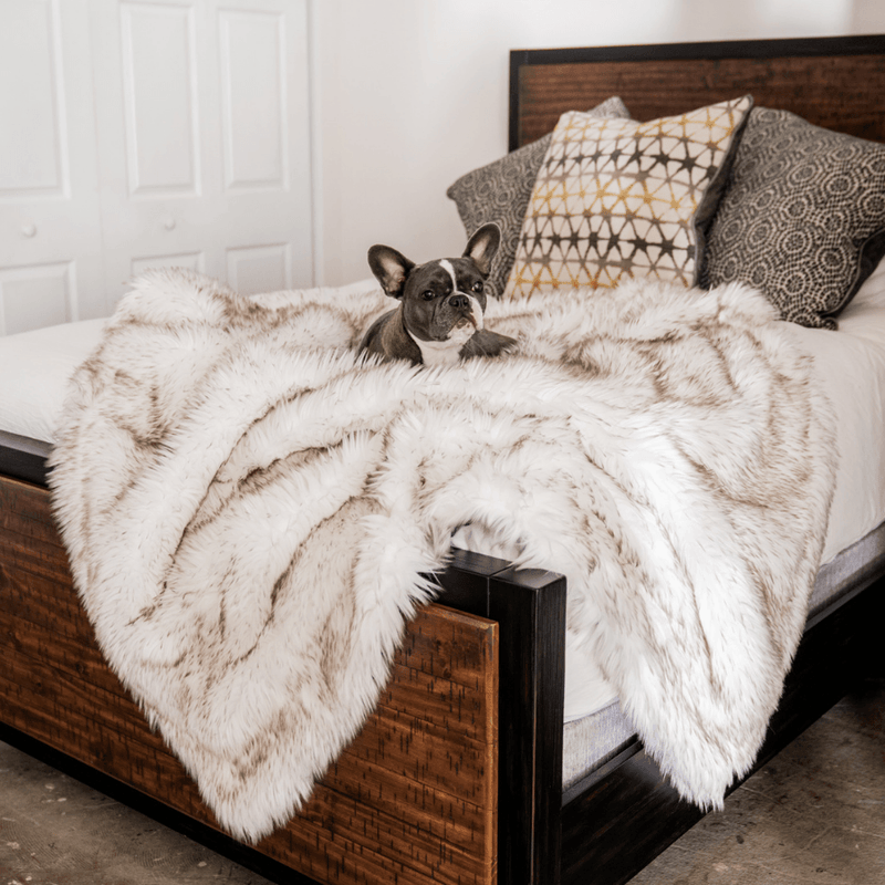 PupProtector™ Waterproof Throw Blanket - White with Brown Accents product image