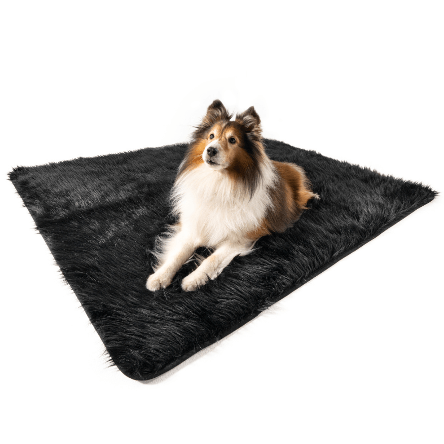PupProtector™ Waterproof Throw Blanket - Midnight Black image 3