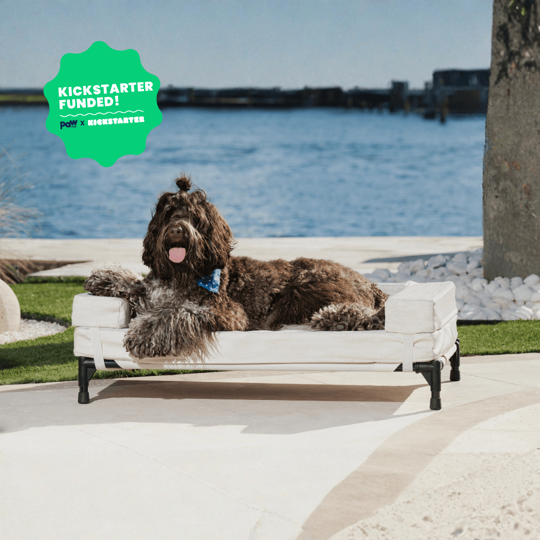 AirX Foam™ Outdoor Dog Bed - Waterproof & Cooling (Bolster Sold Separately) image 3