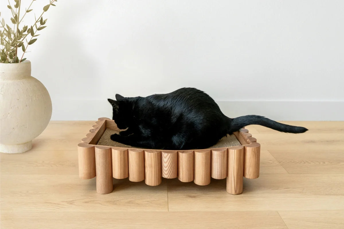 Bambu product image