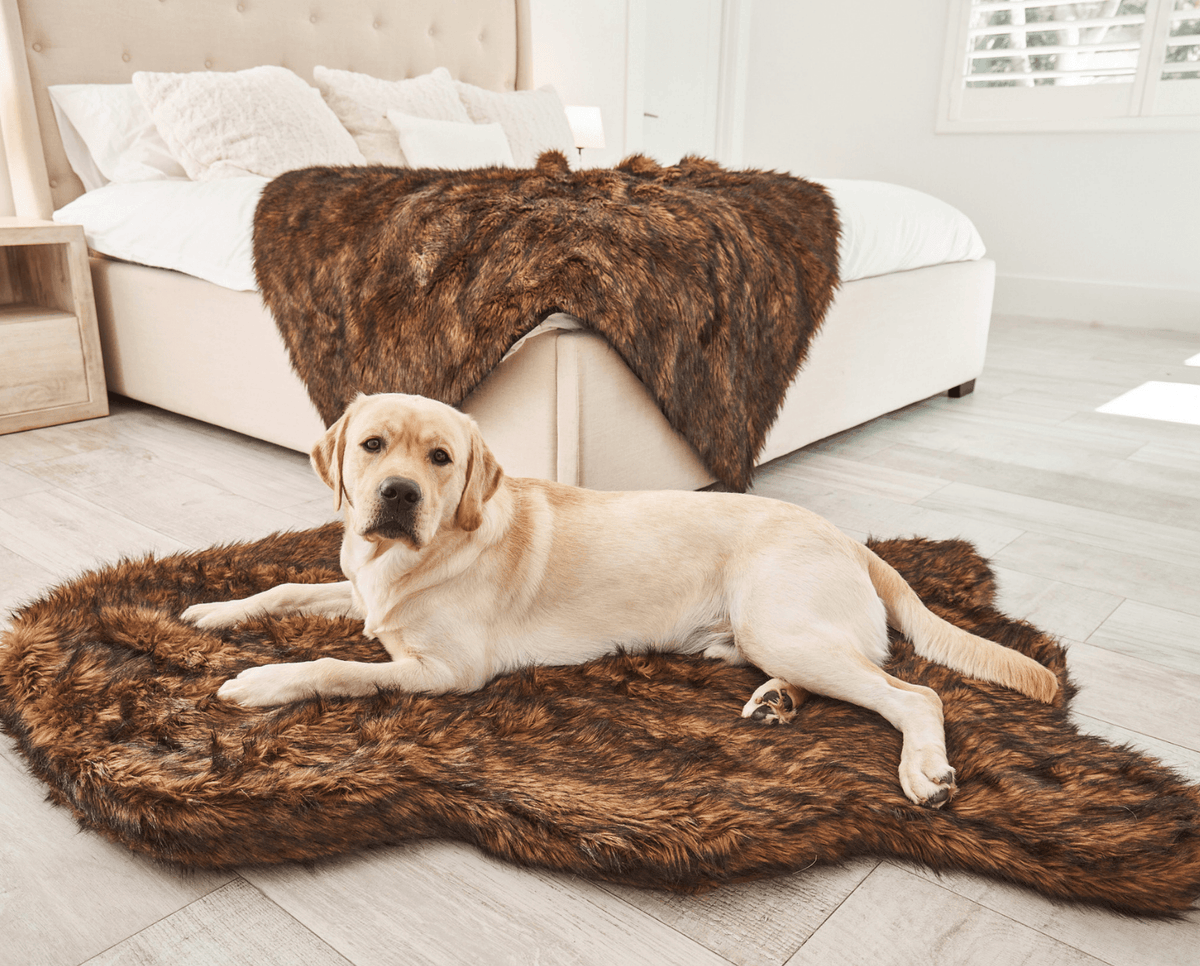 PupRug by Paw.com® Faux Fur Orthopedic Dog Bed - Curve Brown image 3