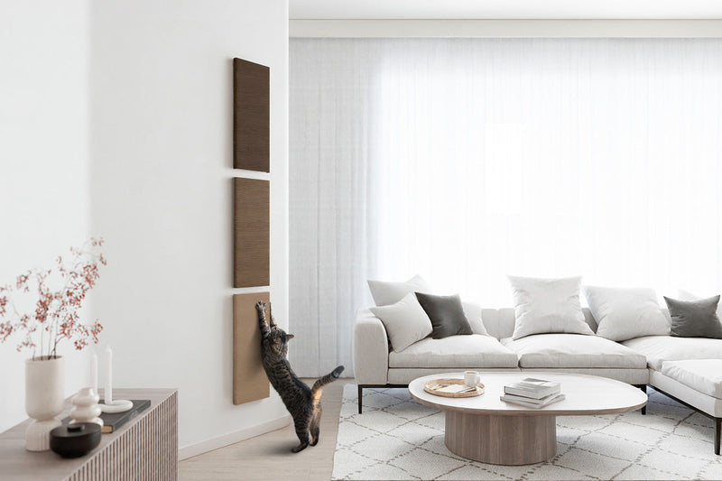 Canvas product image