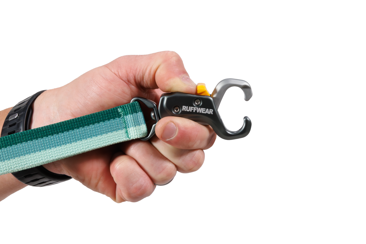 Roamer Lock™ Bungee Dog Leash image 5