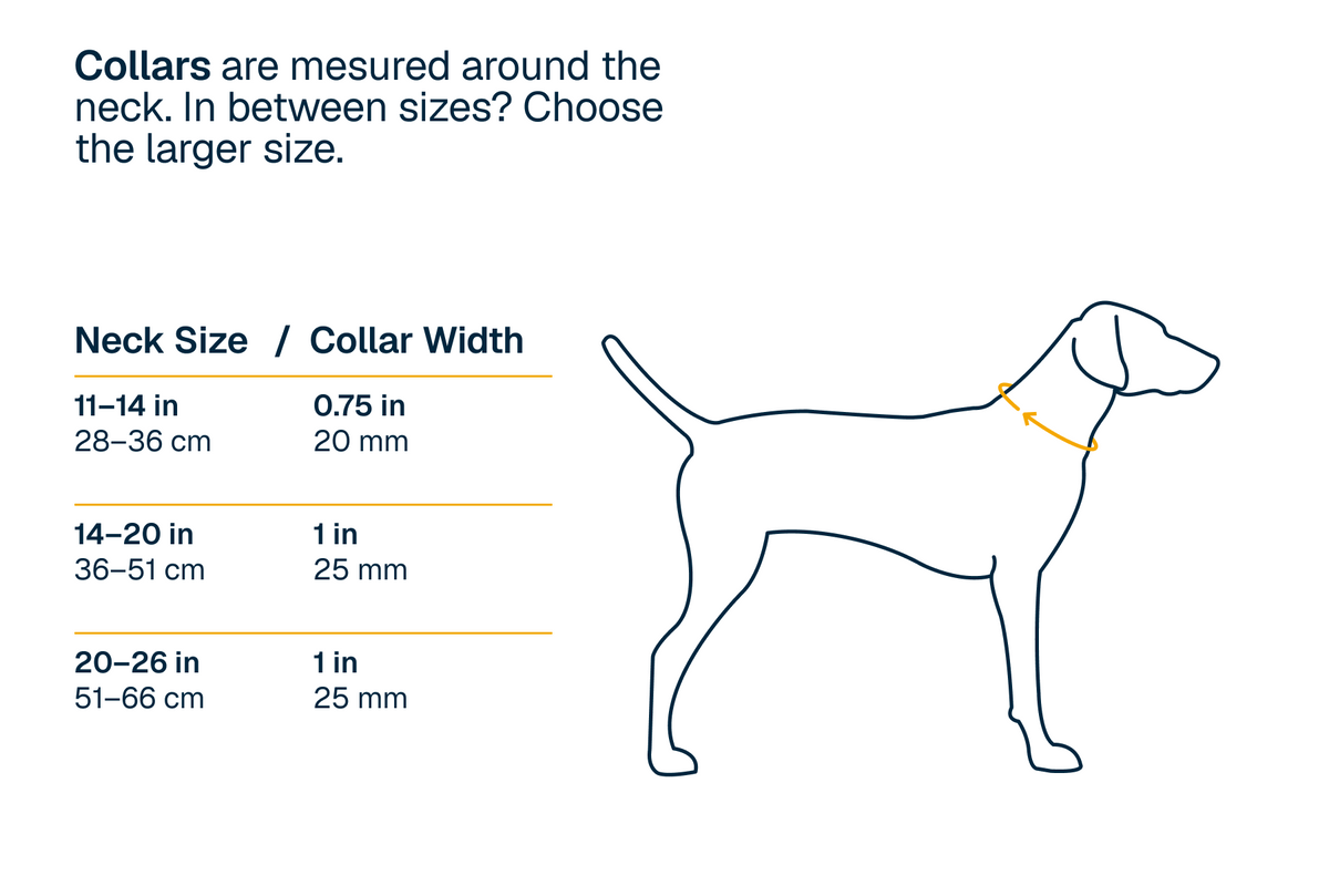 Ridgeline™ Collar image 5