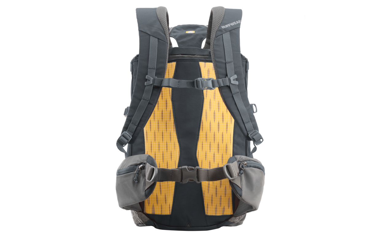 Hitch Hiker™ Dog Backpack Carrier image 2