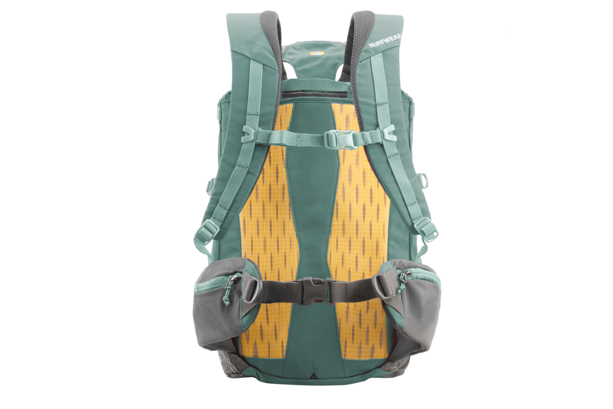 Hitch Hiker™ Dog Backpack Carrier image 4