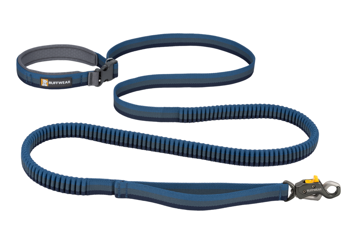 Roamer Lock™ Bungee Dog Leash image 3
