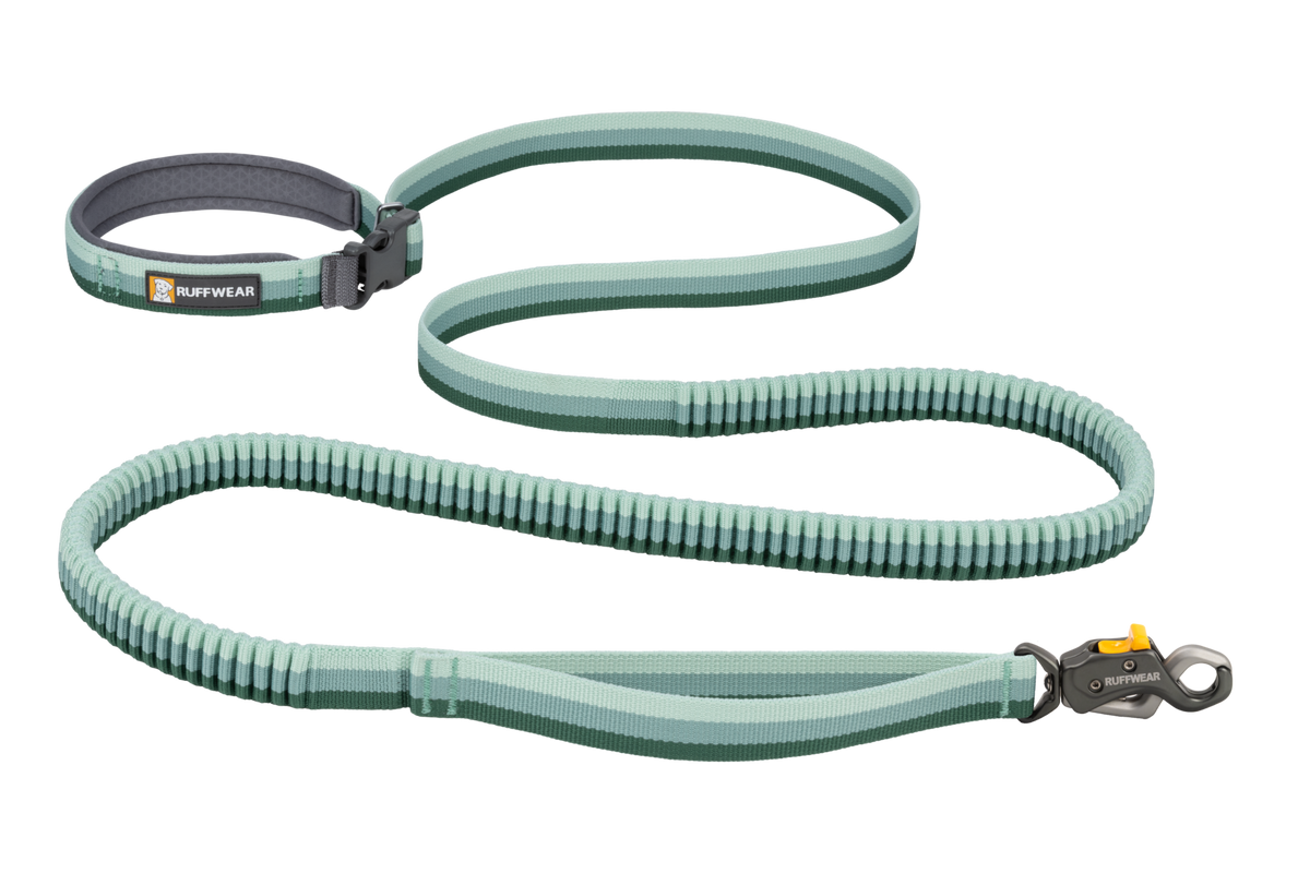 Roamer Lock™ Bungee Dog Leash product image