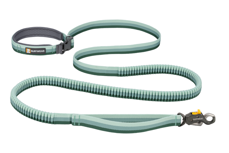 Roamer Lock™ Bungee Dog Leash product image