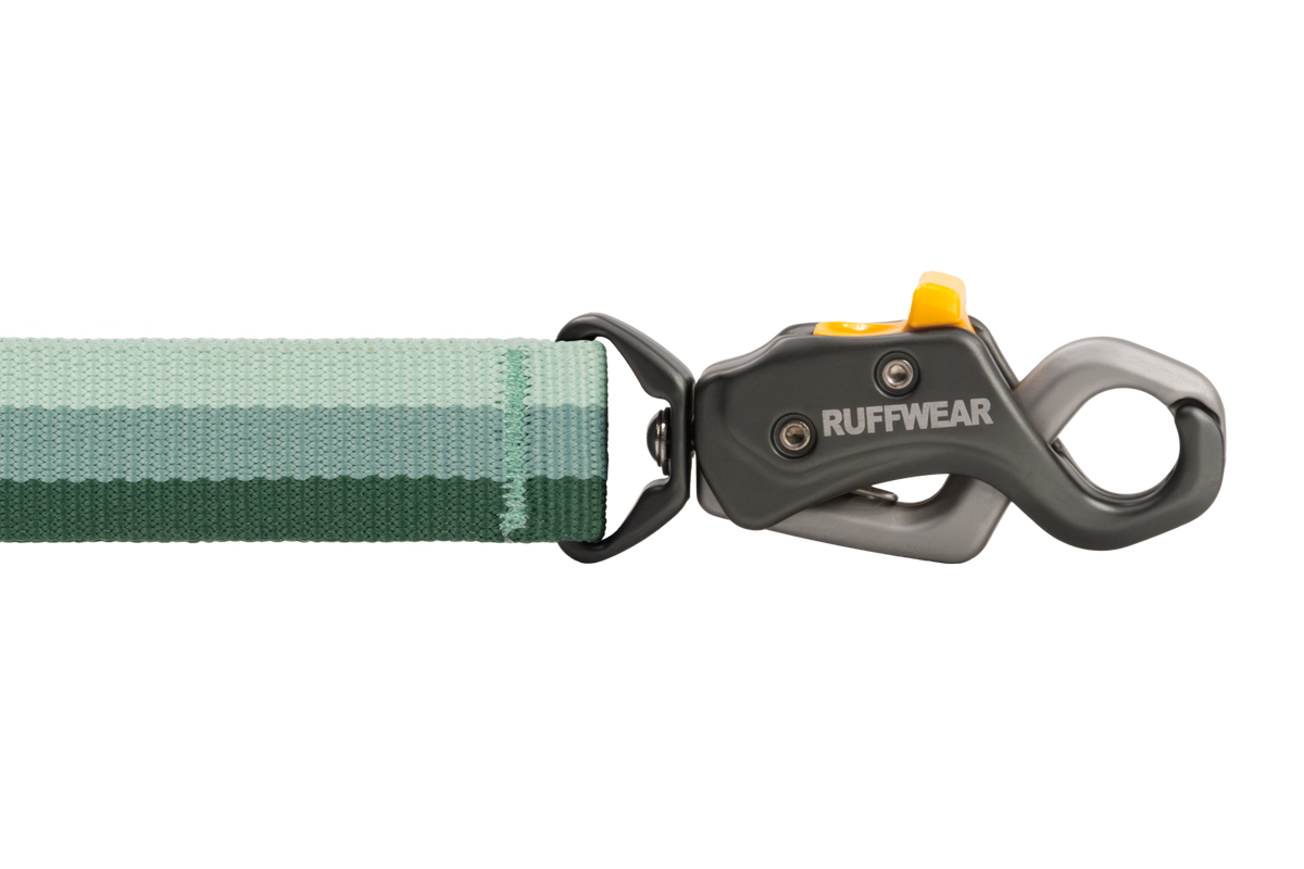Roamer Lock™ Bungee Dog Leash image 2