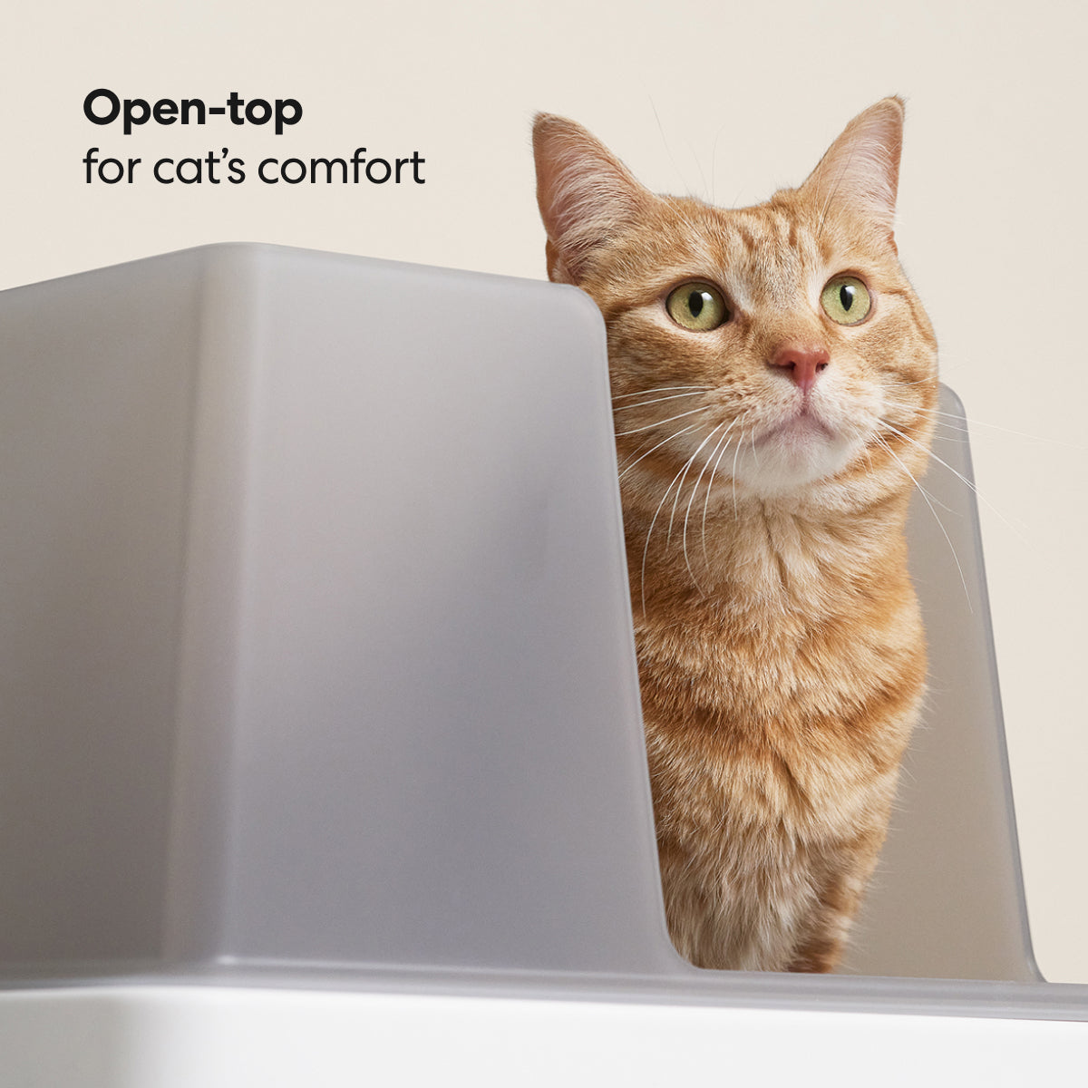 Cove Litter Box image 5
