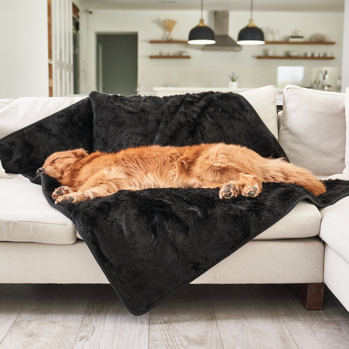 PupProtector™ Summer Short Fur Waterproof Throw Blanket - Midnight Black image 3
