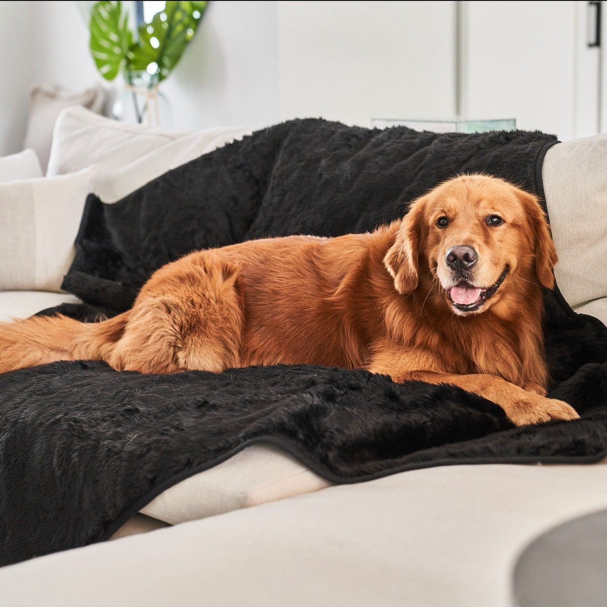 PupProtector™ Summer Short Fur Waterproof Throw Blanket - Midnight Black image 2