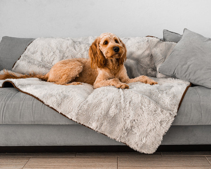 PupProtector™ Summer Short Fur Waterproof Throw Blanket - Grey product image
