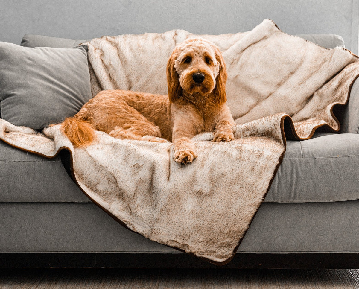 PupProtector™ Summer Short Fur Waterproof Throw Blanket - White with Brown Accents image 2