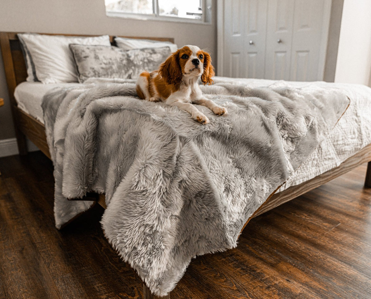 PupProtector™ Summer Short Fur Waterproof Throw Blanket - Grey image 2