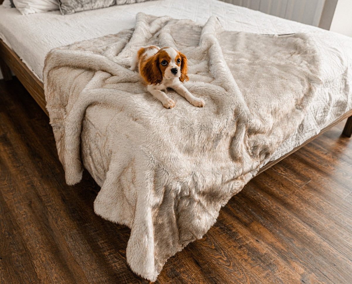 PupProtector™ Summer Short Fur Waterproof Throw Blanket - White with Brown Accents product image