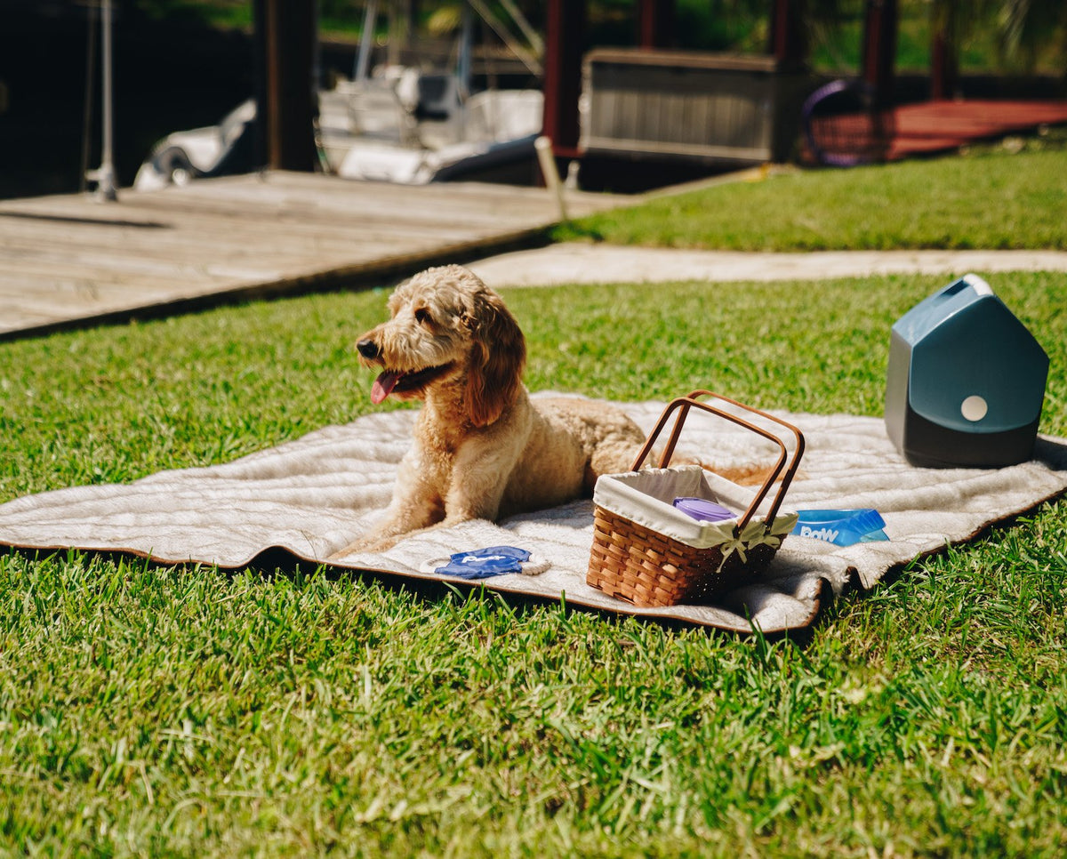 PupProtector™ Summer Short Fur Waterproof Throw Blanket - White with Brown Accents image 5