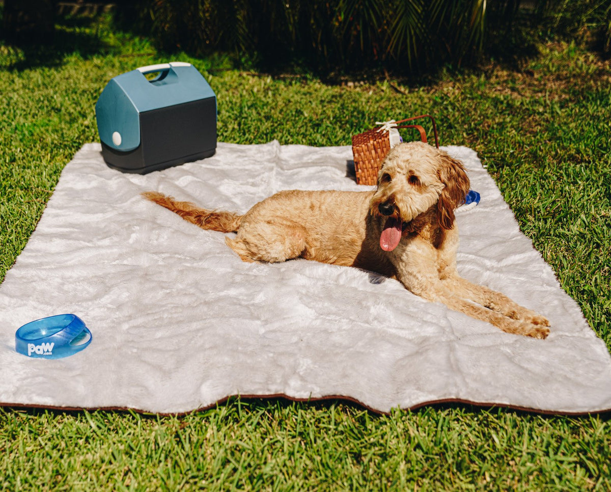 PupProtector™ Summer Short Fur Waterproof Throw Blanket - Grey image 4