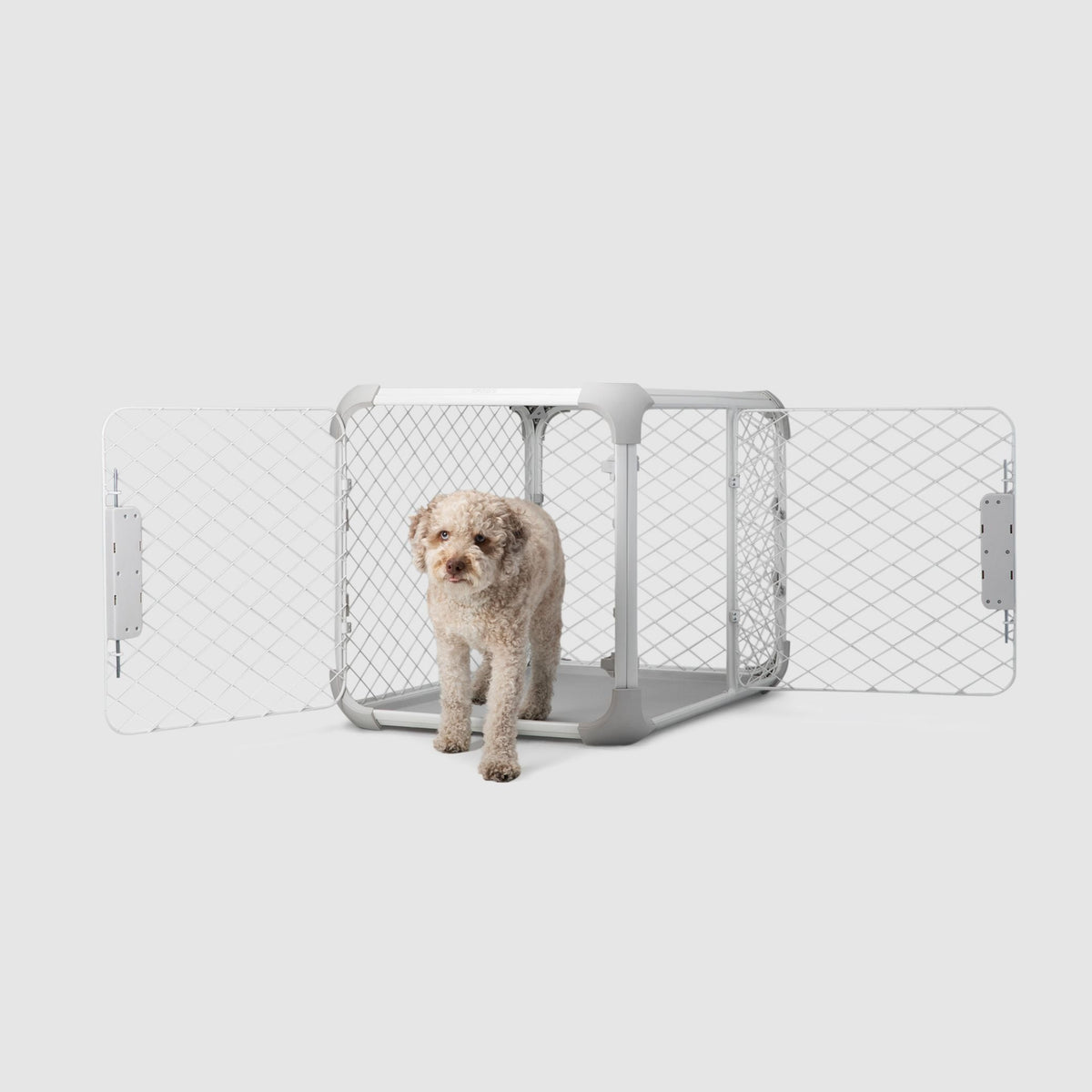Evolv Dog Crate image 4
