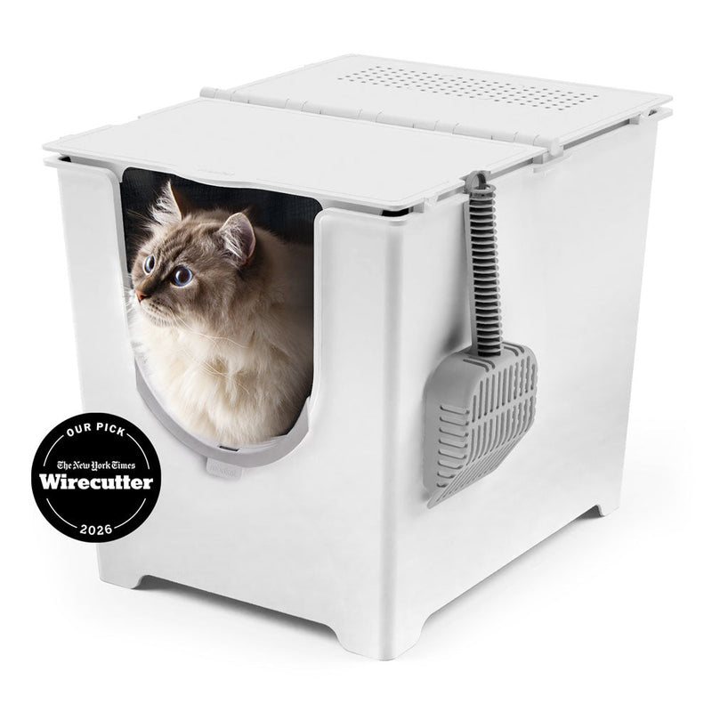 Modkat Flip product image