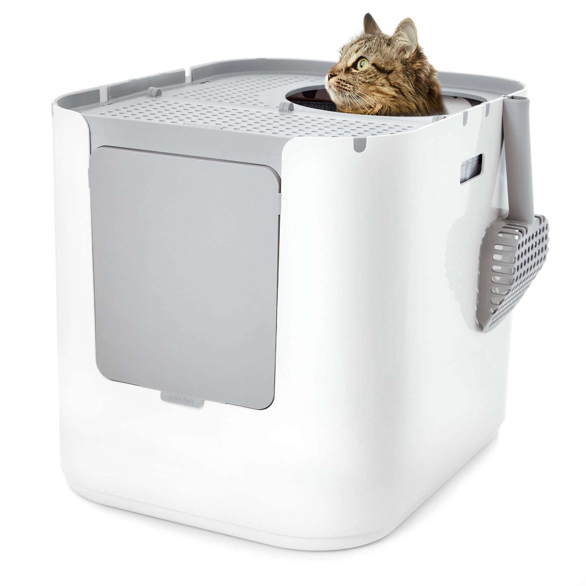 Modkat XL image 2