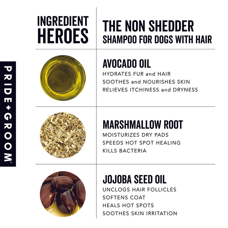 Pride + Groom THE NON SHEDDER Dog Shampoo — Hydrating, Detangling, Hypoallergenic Formula image 5