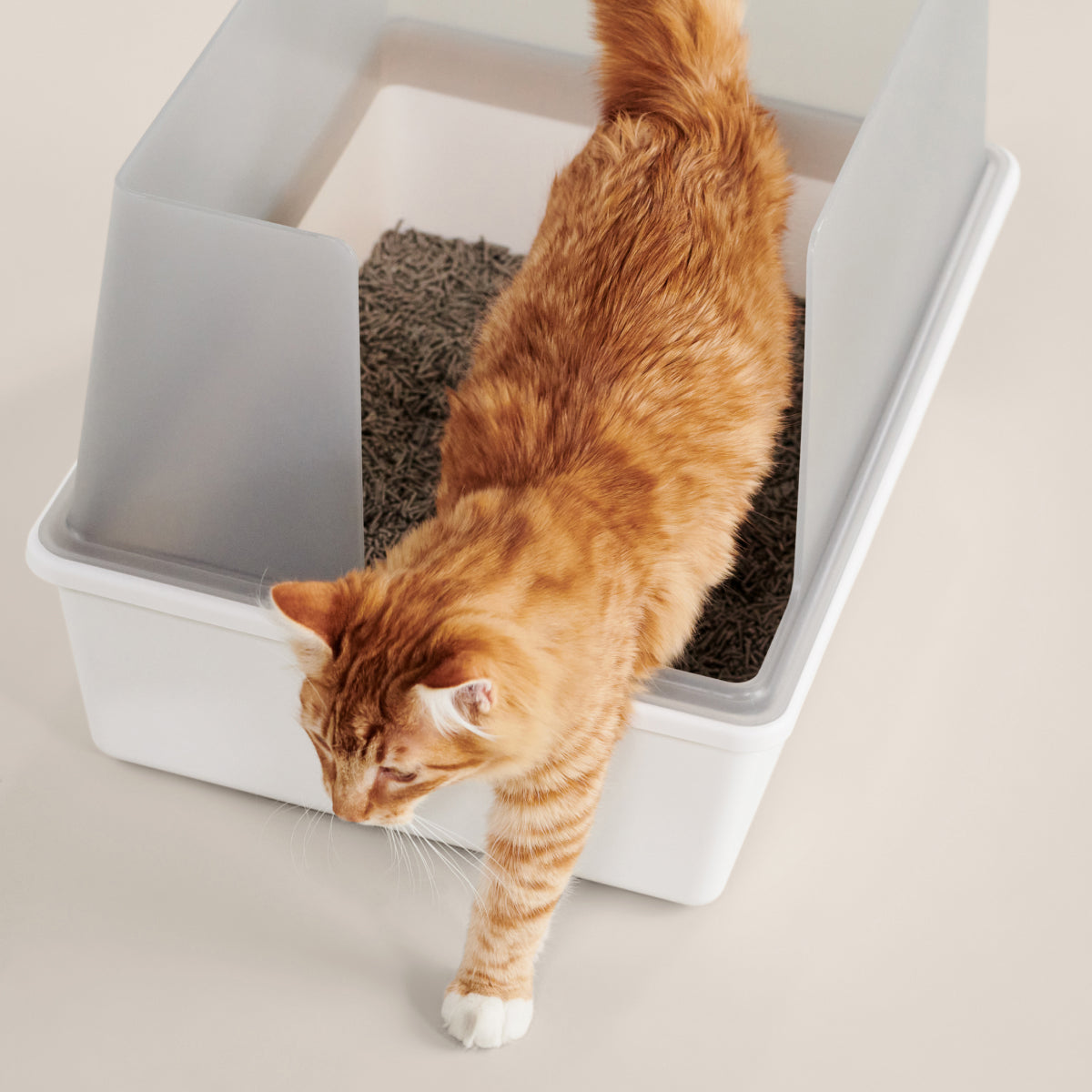 Cubby Litter Box image 2