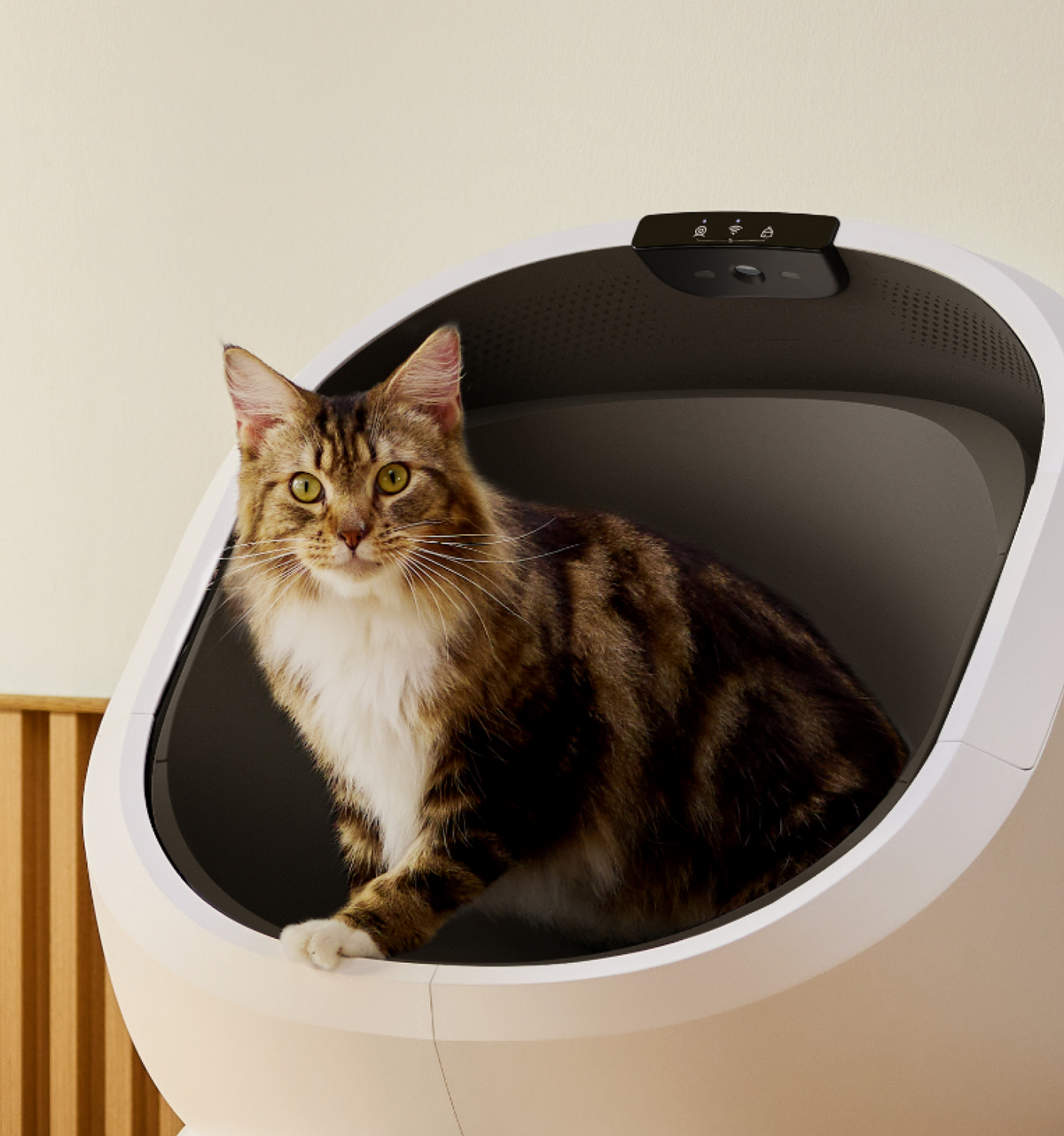 Luma Smart Litter Box with Fountain image 5