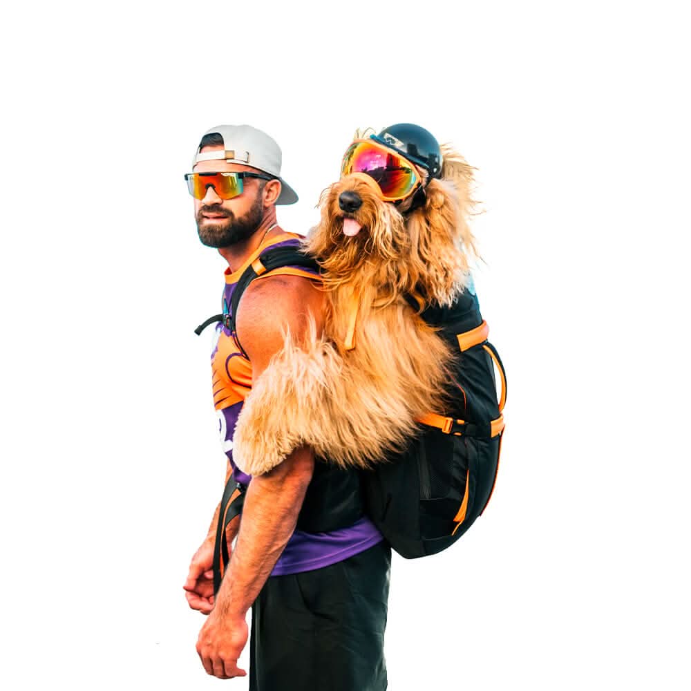 Brodie One product image