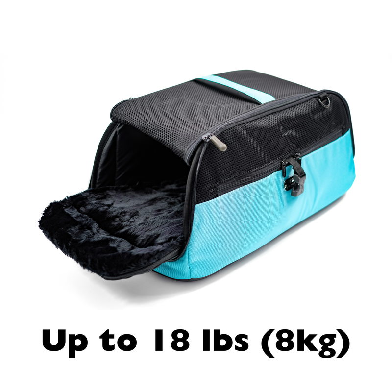 Sleepypod Air PEMF Therapy System product image