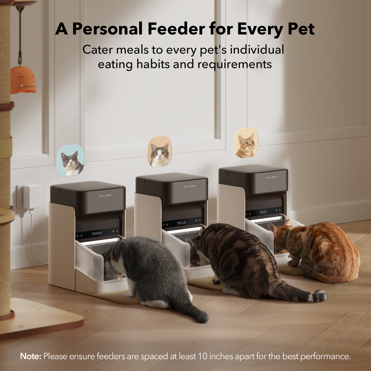 One RFID Smart Feeder for pet image 3