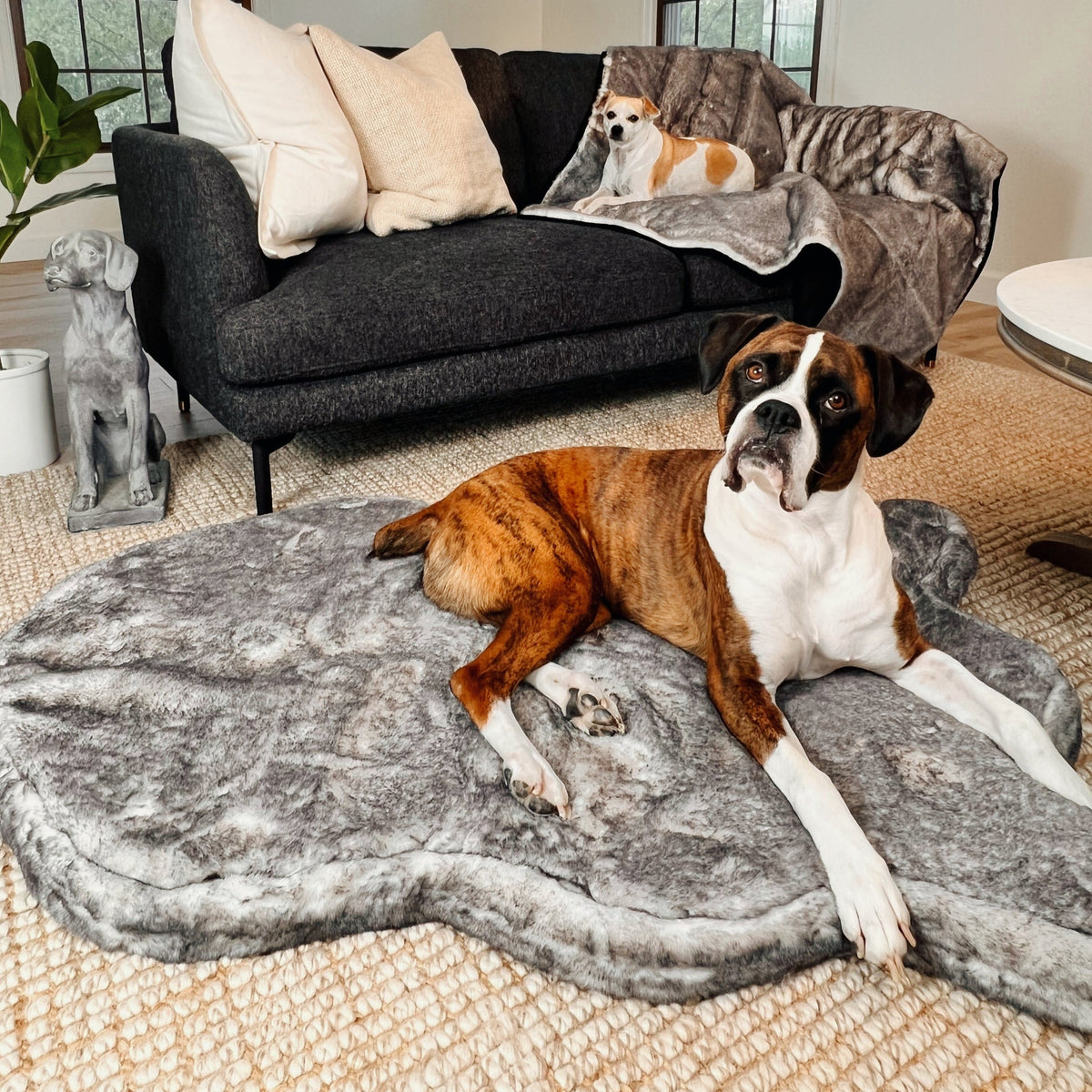 PupRug® Luxe Faux Fur Orthopedic Dog Bed - Ultra Soft Chinchilla image 3