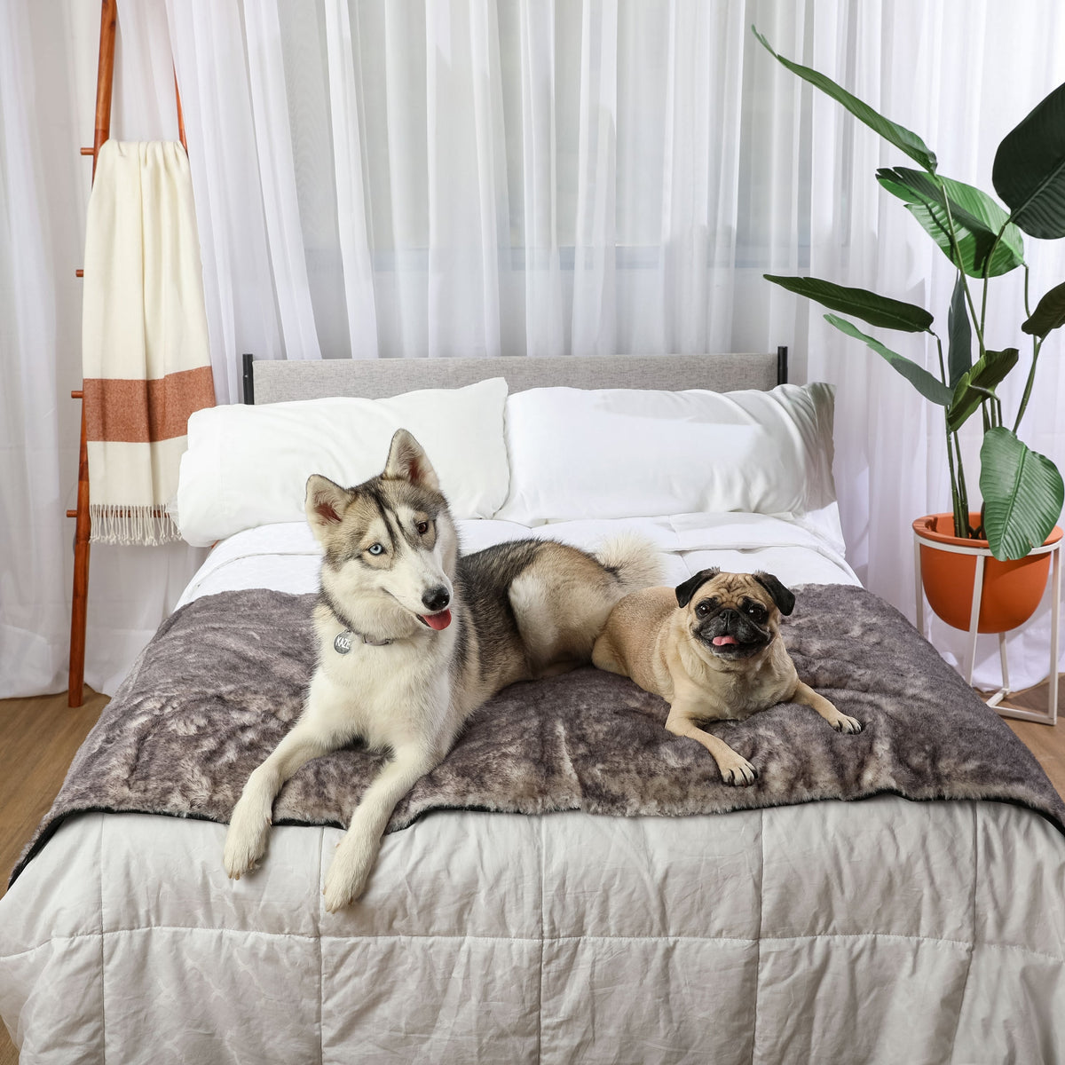 PupProtector™ Luxe Waterproof Bed Runner - Ultra Soft Chinchilla image 4