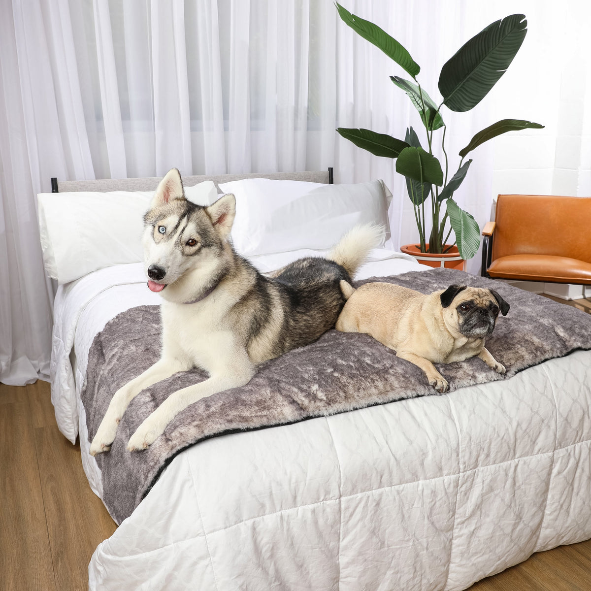 PupProtector™ Luxe Waterproof Bed Runner - Ultra Soft Chinchilla product image