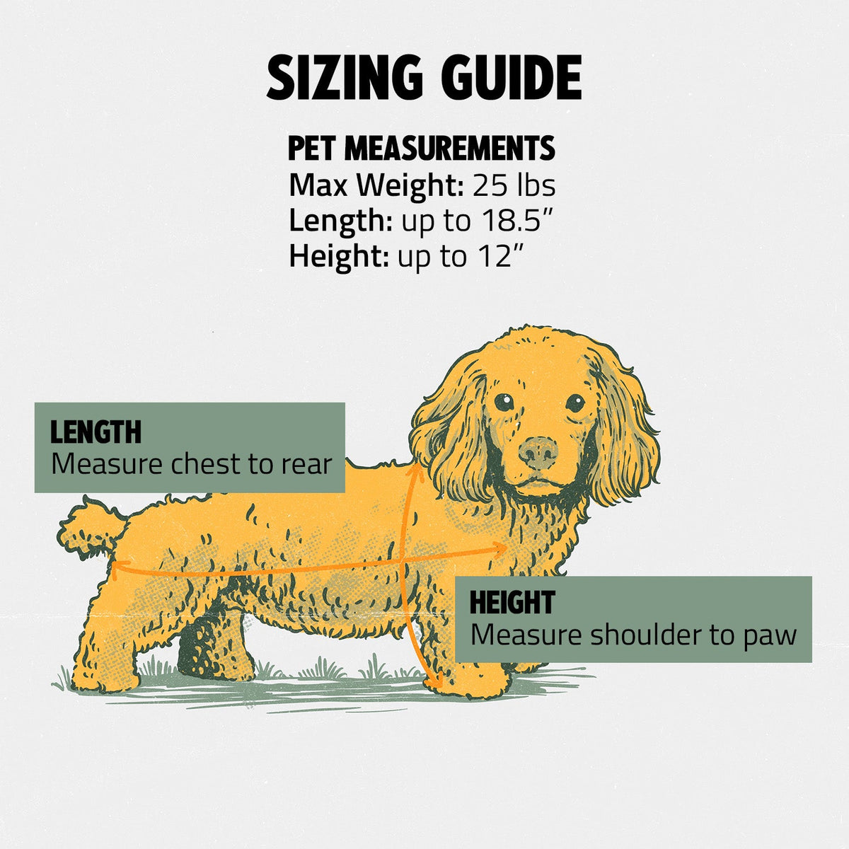 READY-FOR-ADVENTURE PET BACKPACK image 3