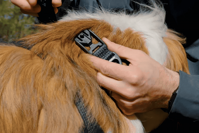 Ridgeline™ Collar image 4