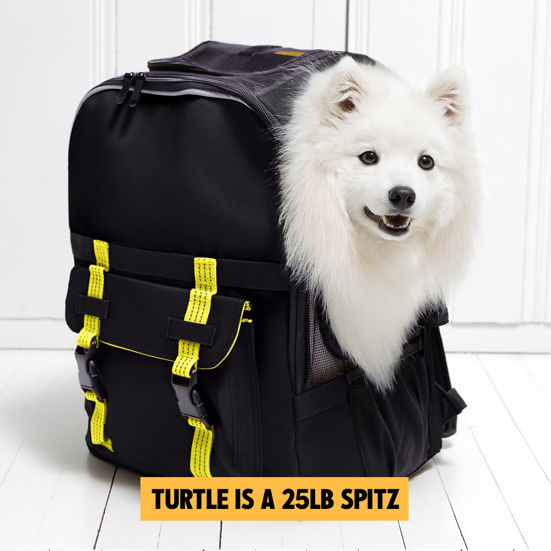 READY-FOR-ADVENTURE PET BACKPACK image 2