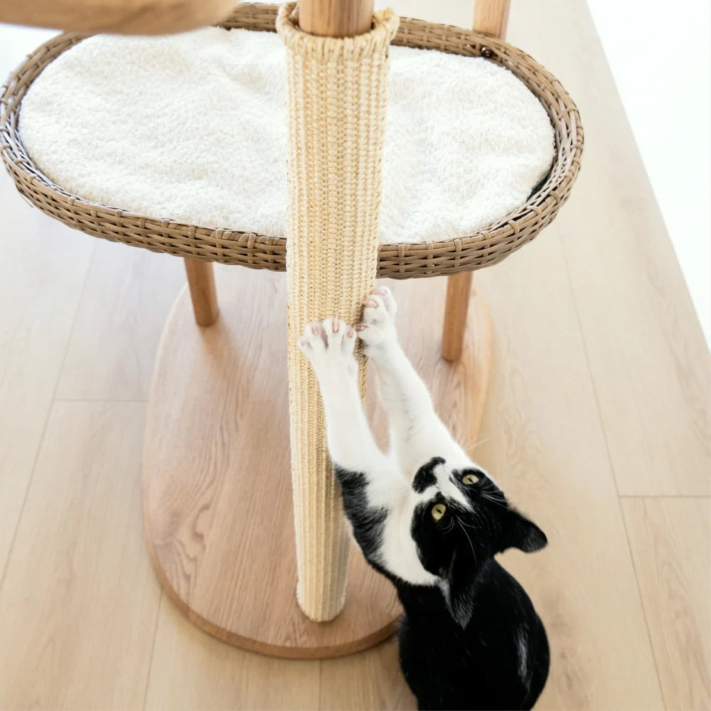 Scratching Pad (For Reiya) image 2