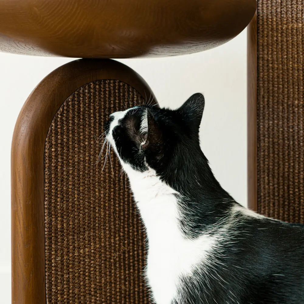 2x Scratching Pads (For Gravity) image 3