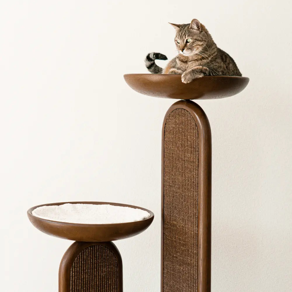 2x Scratching Pads (For Gravity) image 4