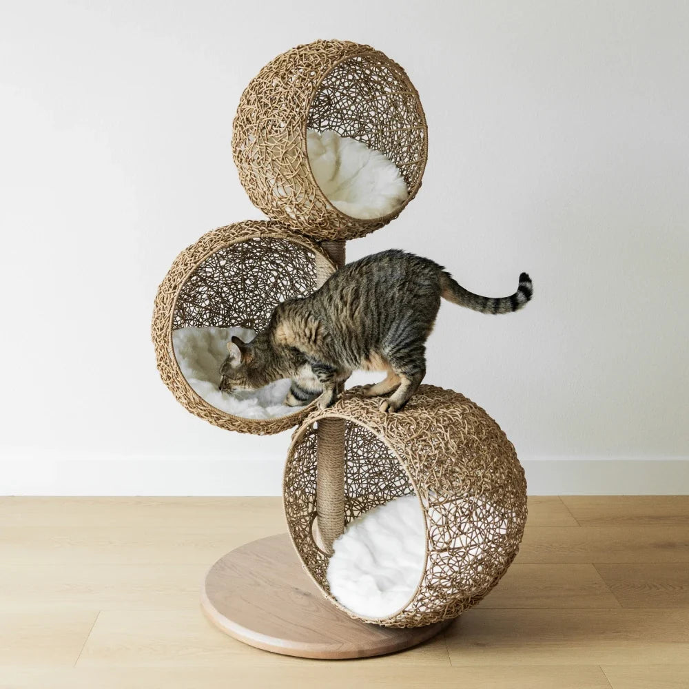Lua Scratching Post image 2
