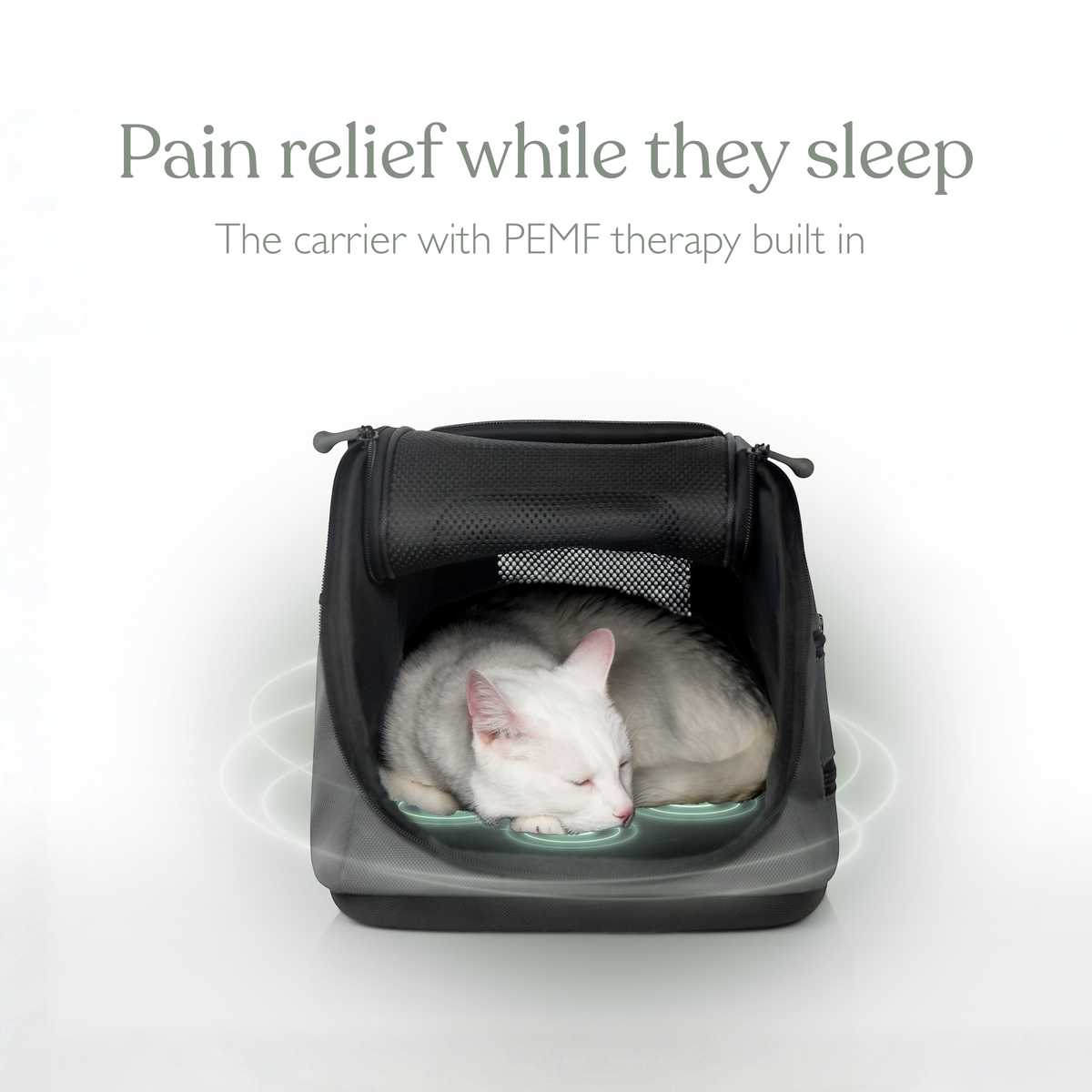 Sleepypod Air PEMF Therapy System image 3