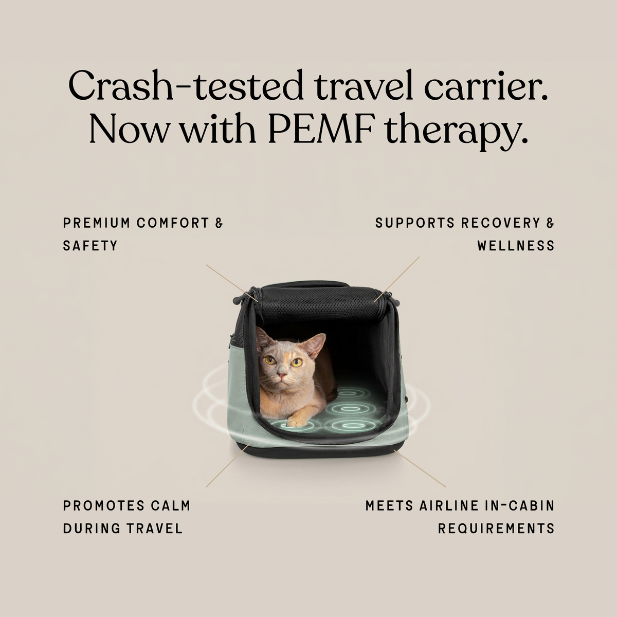 Sleepypod Air PEMF Therapy System image 5