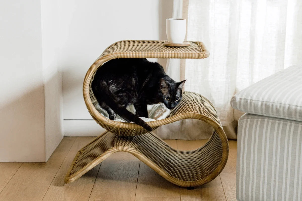 Snake product image